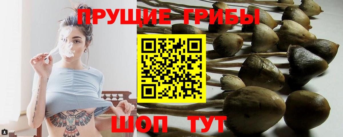 МЕФ кристаллы  Бошки Шишки  Гашиш  МДМА  Коммунар  Экстази  Гашиш  Продажа наркотиков  Вход с VPN  COCAIN 