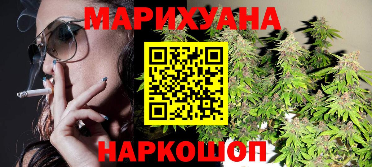 Бошки Шишки сатива Коммунар